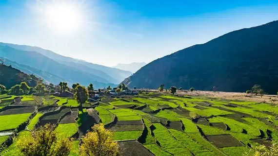 Dharamshala Dalhousie Volvo Tour Package