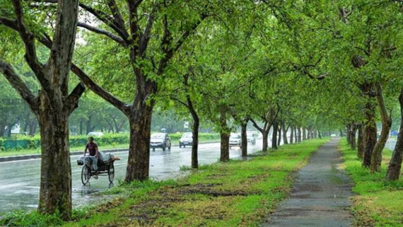 Shimla Kullu Manali Chandigarh Car Tour Package