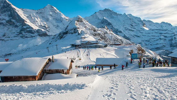 SHIMLA VOLVO Tour PACKAGE
