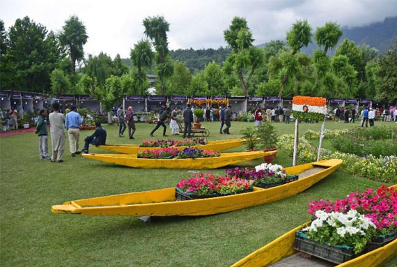 Kashmir Tour Package