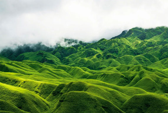 Kerala Tour Package